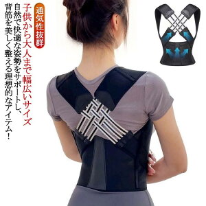 yԌ2_w300~OFFIz Lw Lwxg j q pT|[^[ Ci[ w؋xg xg pxg LwT|[^[  Y fB[X 傫TCY 