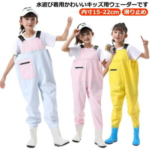 V vCEFA c EF[_[ ̎q Cpc qp `FXgnCEF[_[ ꒅ tC ~J j̎q C LbY C h  ނ V