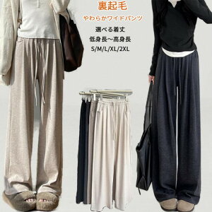 yԌ2_w500~OFFIzH~ Chpc N pc ӂ  C[W[Chpc fB[X NуChpc EGXgS {gX Ch g g 