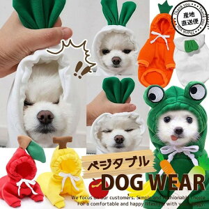 200~OFF nEB ybg RXv L   ʕ RX`[ hbOEGA ybgRXv JG  ɂ񂶂  oii NX}X ʔ _炩 N