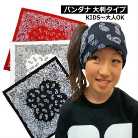 楽天市場 ダンス 衣装 ヒップホップ ヘアアクセサリー レディースジュエリー アクセサリー ジュエリー アクセサリーの通販