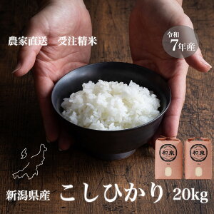 yVāzVYRVqJ a 20kg(10kg×2) ߘa7NYy󒍌㐸 _ƒz