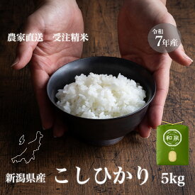 新潟県産コシヒカリ 和泉 5kg 令和7年産【受注後精米 農家直送】※沖縄県不可