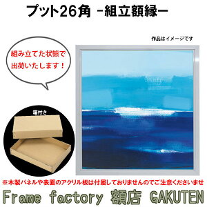 gzyWpzzS20TCY(727×727mm) vbg26p XNGA ` F zCg gς t i W LoX pl G  20yz