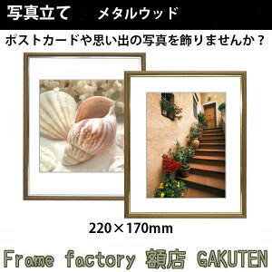 ʐ^(tHgt[)z 220×170mm ^Ebhy3,000~ȏずzyyΉzy{z ؒn ؖ S[h Vo[   ʋ ʐ^ |XgJ[h v[g j V