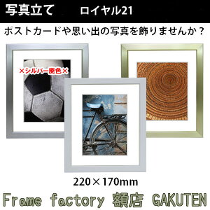 ʐ^(tHgt[)z 220×170mm C21y3,000~ȏずzyyΉzy{z Vo[ S[h zCg    }bg c ʐ^ |XgJ[h v[