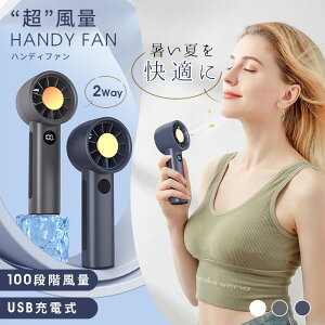 yŋz ݌ɂ zʃnfBt@ 100iKʒ/Xgbvt 莝@ nfBt@ @ t@ 2WAY RpNg FAN  啗 @ 