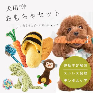 yŋzz  ̏o    킢  XgX ^s S ϋv S p ނ ߋ p  I` Zbg {