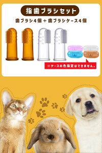 yŋzzybgp wTbNuV [P[Xt  L  wTbN VR wuV wTbN^uV  ybgpi Lf^PA Lp p uV ybgpu