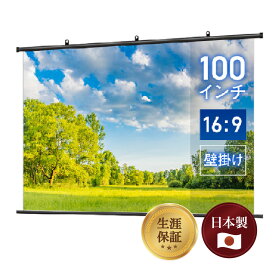 【日本製 生涯保証】シアターハウス プロジェクター スクリーン 100インチ 吊り下げ ワイド 16:9 ホームシアター 手動 天吊り 壁掛け 軽量 持ち運び 高画質 リビング フルハイビジョン シアタールーム タペストリー BTP2220WSD