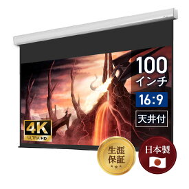 【日本製 生涯保証】シアターハウス プロジェクター スクリーン 100インチ 電動 吊り下げ ワイド 16:9 ホームシアター 4K 高画質 静音モーター リモコン付き 壁掛け 天吊り ケース付 ロール式 リビング シアタールーム WCB2214WEM