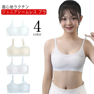 w WjA V[XuW[ u uW[ V[X n[tgbv q t@[Xgu Jbvt ̎q u X|[cu WjAu iCgu  mC[ 