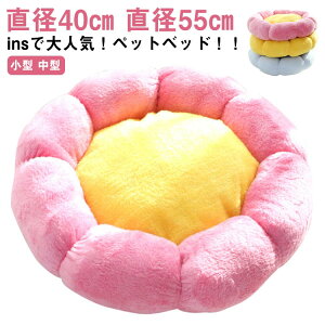 p ybgnEX a40cm nEX xbh 􂦂 lR ybgxbh Lp  nEX ی^ LnEX Lxbh  nEX  NbV a55cm ^ ^ LQ nEX Q