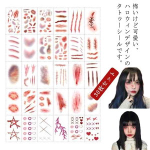 q  RE RXv l i[X ߑ  RXv nEB z[ ]r ߑ 30Zbg CN ^gD[V[   J{`     S[Xg 