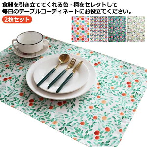 �����`�����}�b�g 40 60cm �����`�����}�b�g���H 40×60 ������� 2���Z�b�g �������� �v���C�X�}�b�g �����`�}�b�g �}�b�g �H�� ������� �z �k�� �� �R�b�g�� �􂦂� ���j�� �X�N�G�A �l�p �v��