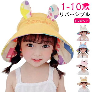 ToCU[ UVJbg ΍L Xq LbY q ǂ o[Vu ʎgp   ܂肽  hJ  ETM `FbN 킢  t  H V s l C 