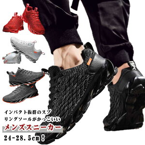 Y  fB[X g[jOV[Y ^C y Xj[J[ C EH[LOV[Y L Xj[J[ 傫TCY W   X|[cV[Y tBbglXV[Y 