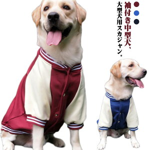  ̕  Xibv{^ ~ WPbg  ~ t g XJW  ybgEFA ^ H AE^[ hbOEFA Wp[ p ^  ybg ˂ p 