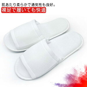 g 250 ɂ OJ^Cv zeXbp  X[Xn Ɩp ĝăXbp AjeB[  T