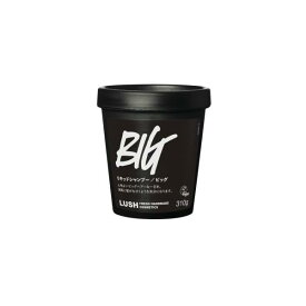 LUSH ラッシュ Big ビッグ シャンプー 海藻 シーソルト 自然派化粧品 リキッドシャンプー 天然成分 タンパク質 ツヤ ライムとマンダリン バニラとオレンジフラワーの香り 310グラム (x 1)