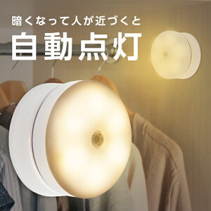 yANTEL [dpxiCgCgidFjz  iCgCg ÐlZT[ _ F px\ 60[ 8cm Type-C[dłdrłgpł orʃe[v