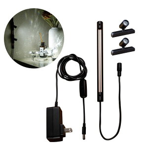 yANTEL }Olbg[CgzɏX|bgCg(21cm[Zbg/F)  ΂ŎtȒP px XChړ Cg݉\ Hsv tBMA CeA փCg