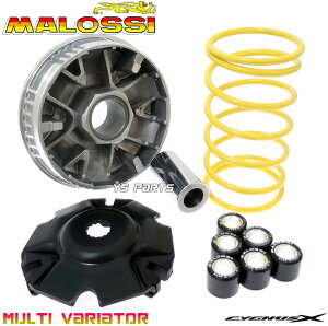 [Ki]Malossi/}bV}`oG[^[/nCXs[hv[[KIT VOiXX[SE12J/SE44J/SEA5J/SED8J]BW'S125/BW'S125X/BWS125X/BW'SR