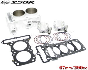 yzyibsXg̗pzjW250R['08-'12] 290cc{AAbvkityi:98111-0012V_[̗pԗ݊z