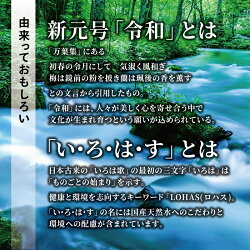いろはすい・ろ・は・す天然水にれもん555mlPET1ケース×24本入送料無料