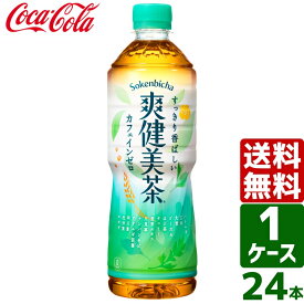 【綾鷹・爽健美茶・やかんの麦茶で使える 10%OFFクーポン配布中】爽健美茶 600ml PET 1ケース×24本入 送料無料