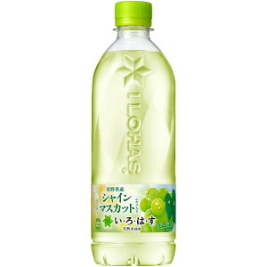 RJER[Аi ͂ 540ml t[o[ ybg{g ǂ 1P[X×24{   s[` Ԃǂ VC}XJbg    M ⋋ 