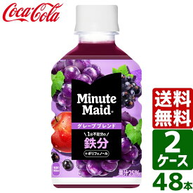 【2ケースセット】ミニッツメイド グレープブレンド 鉄分 280ml PET 1ケース×24本入 送料無料