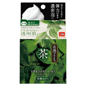 自然ごこち 茶 洗顔石けん 泡立てネット付き 80g