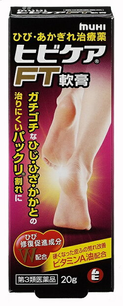 (第3類医薬品)池田模範堂ヒビケアFT軟膏20g