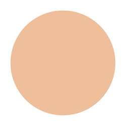【ネコポス専用】資生堂dプログラム薬用スキンケアファンデーション(リキッド)オークル10やや明るめの肌色30g