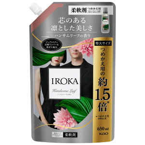 ԉ IROKA CJ nT[t XpEg 650ml b _