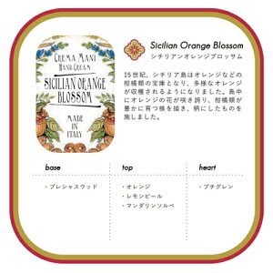 ル・マヨルカ ハンドウォッシュ 500ml 三和トレーディング ハンドソープ 石鹸 アロマ おしゃれ 本体 ボトル 手洗い 潤い ラ・マヨルカ maioliche ルディ rudy