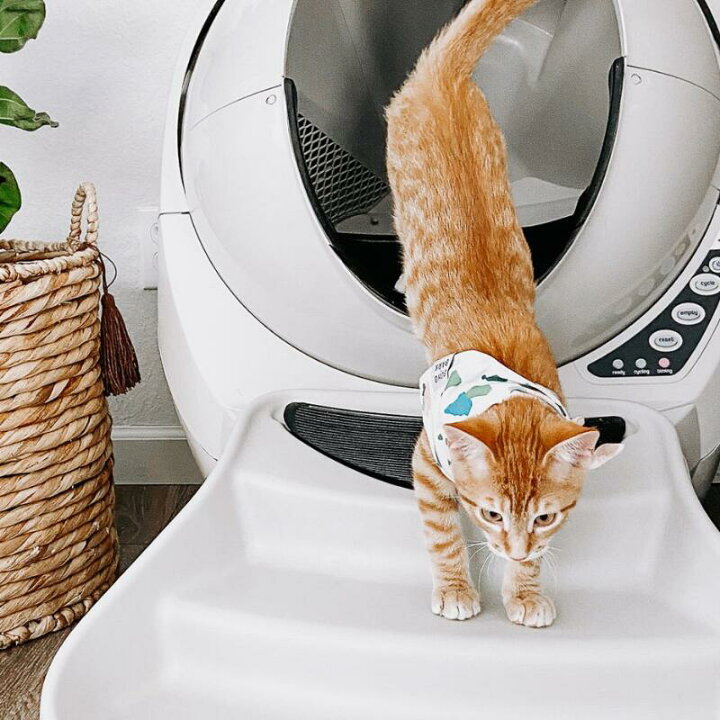 楽天市場】Litter-Robot 3 オープンエア 専用 スロープ Open Air 階段 