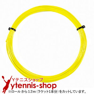 y12mJbgizVOiv(SIGNUM PRO) gg(Triton) CG[ mpbP[W [M 1/10]yyz