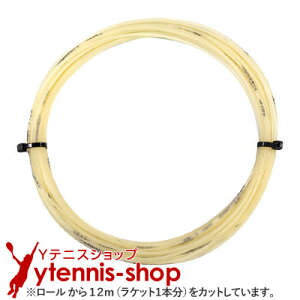 y12mJbgizeNjt@Co[(Tecnifiber) TGV i`J[ mpbP[W [M 1/10]