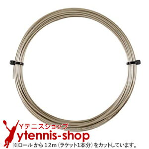 �y12m�J�b�g�i�z�w�b�h(HEAD) �����N�X �c�A�[(LYNX TOUR) �V�����p�� �m���p�b�P�[�W [M�� 1/10]