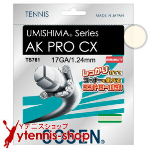 S[Z(GOSEN) E~V} AKv CX(AK PRO CX) i`J[ pbP[Wi [M 1/4]