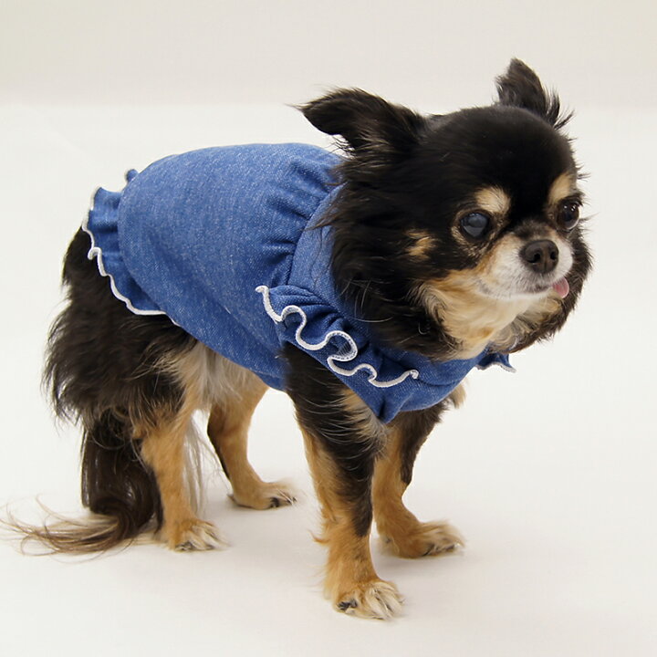 楽天市場 ふんわりバルーンワンピース型紙 ばらばら印刷 胴長小型犬s M Celebdog
