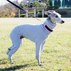 _[cnClbNp[X@eco^Cv@傫ȃC^AO[nEh^@IXL&IXXL