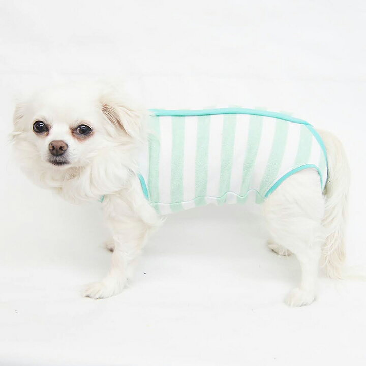 楽天市場 シンプルマナーロンパース型紙 Eco印刷 胴長中型犬向け Celebdog