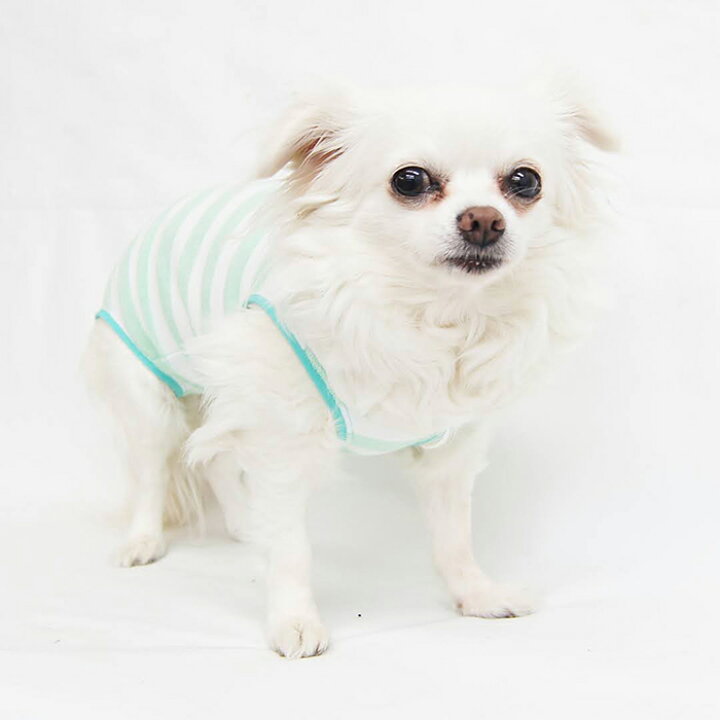 楽天市場 シンプルマナーロンパース型紙 Eco印刷 胴長中型犬向け Celebdog