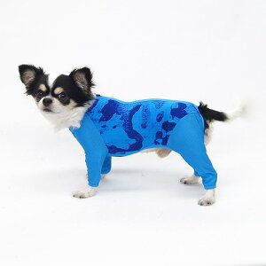 W[X[c^ ΂΂ 傫ȃ~j`A_bNXthDLL`D3XL