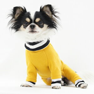 oCJ[p[X^ ΂΂ ^XS`SS+