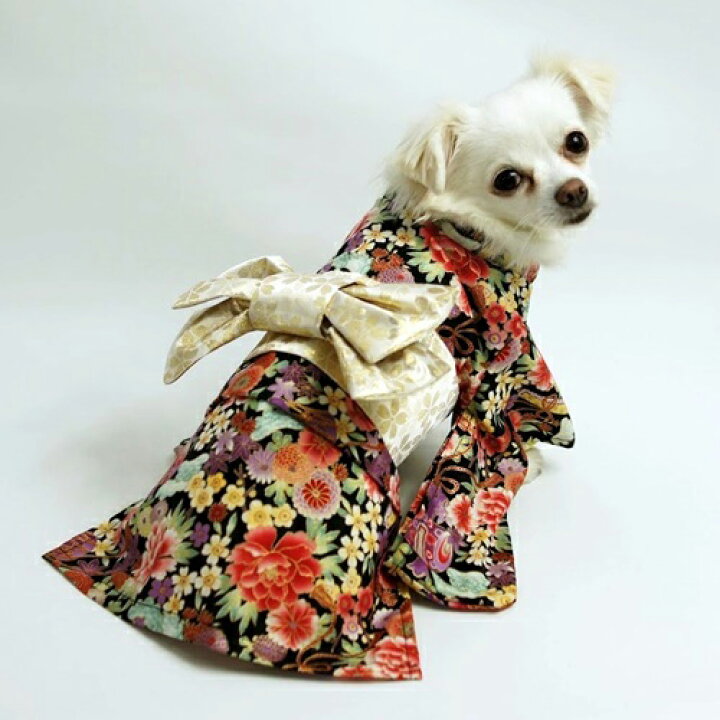 楽天市場 振袖着物 一重 Ecoタイプ ダックスフンド向け型紙 Celebdog