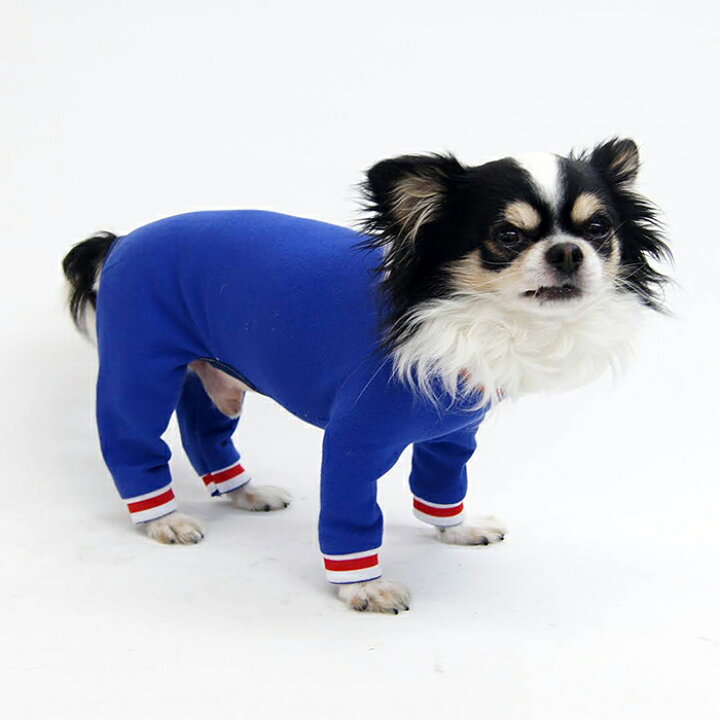 楽天市場】熟練 犬服工房ロンパース・ダックスフンド6サイズ型紙 